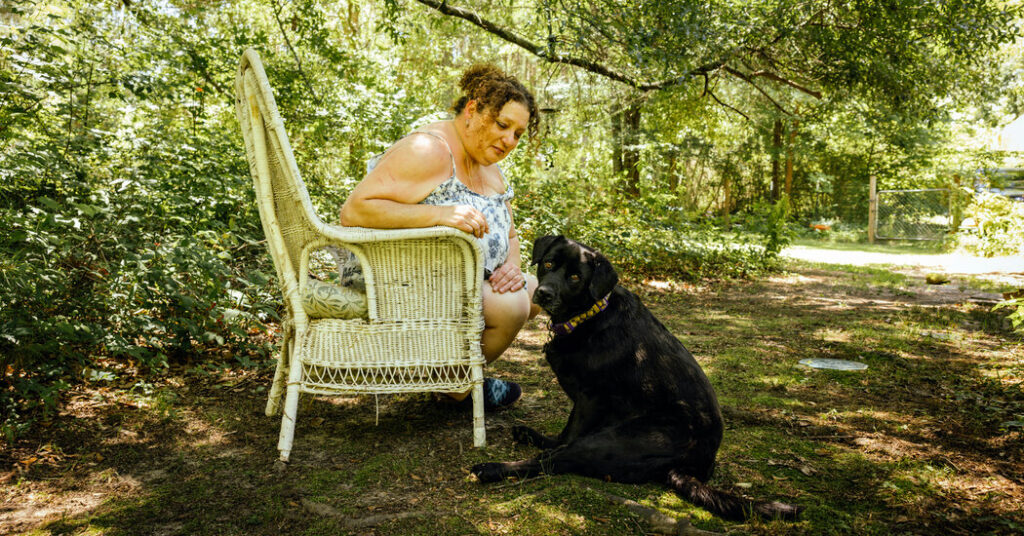 How Pet Care Became a Big Business How Pet Care Became a Big Business