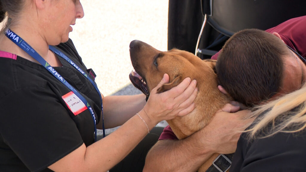 Vets provide care for pets of unhoused people in Austin