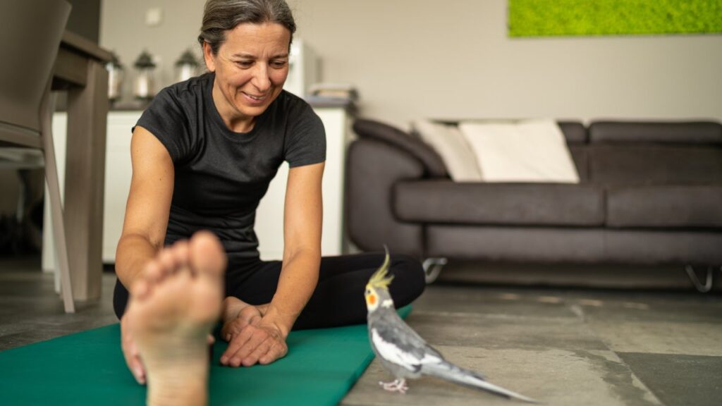 What Is Exotic Pet Insurance And How Can I Get It For My Pets?