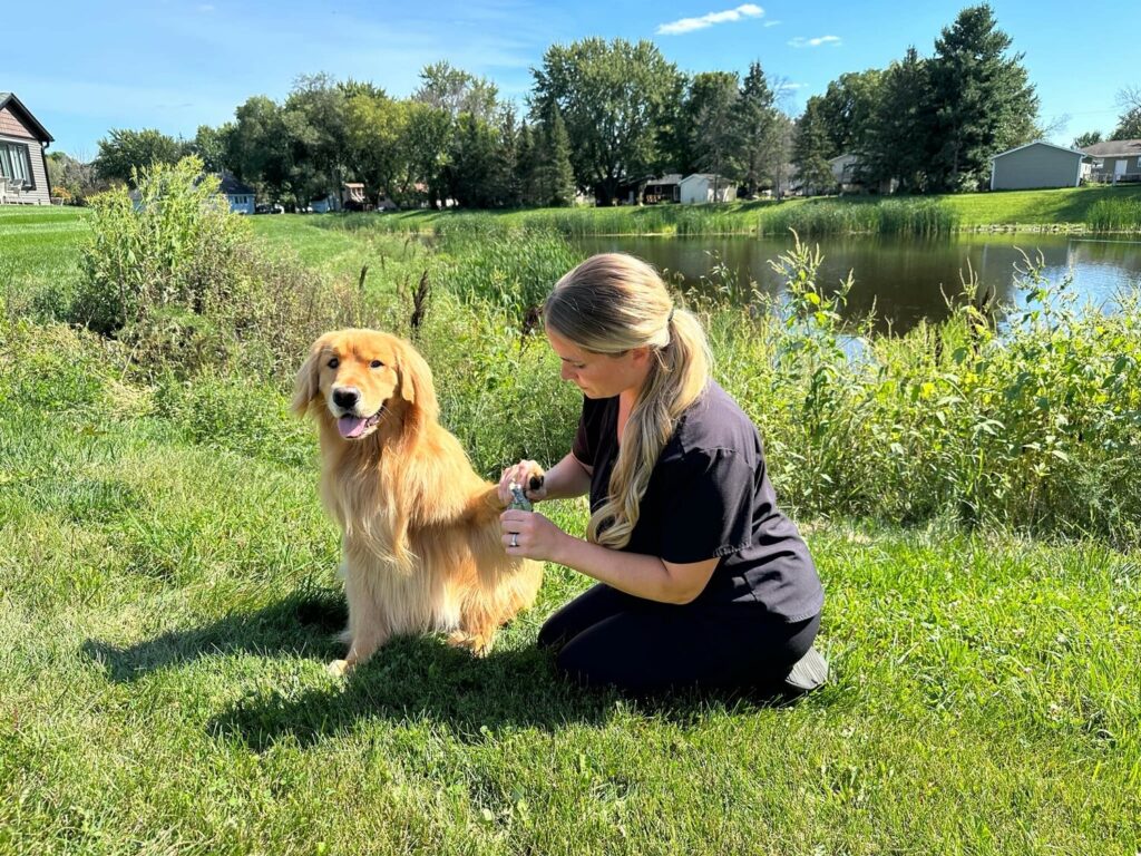 Mobile pet care business brings pet-a-cures to homes