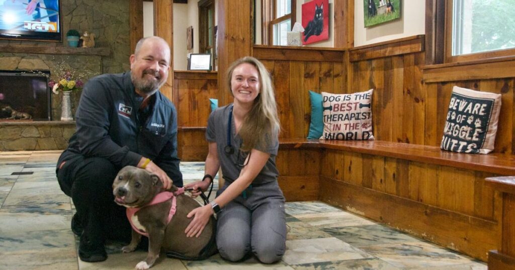 Pet Care: TikTok, Insurance, Pain Relief | News