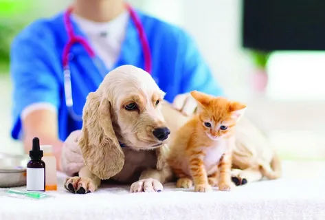 Southeast Asia Pet Care Market Share, Size 2020
