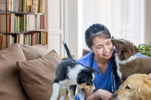 Revolutionizing Pet Care in Maine