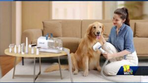 What to expect from the Global Pet Expo