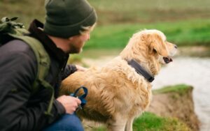 SATELLAI’s AI Collar Does More Than Track