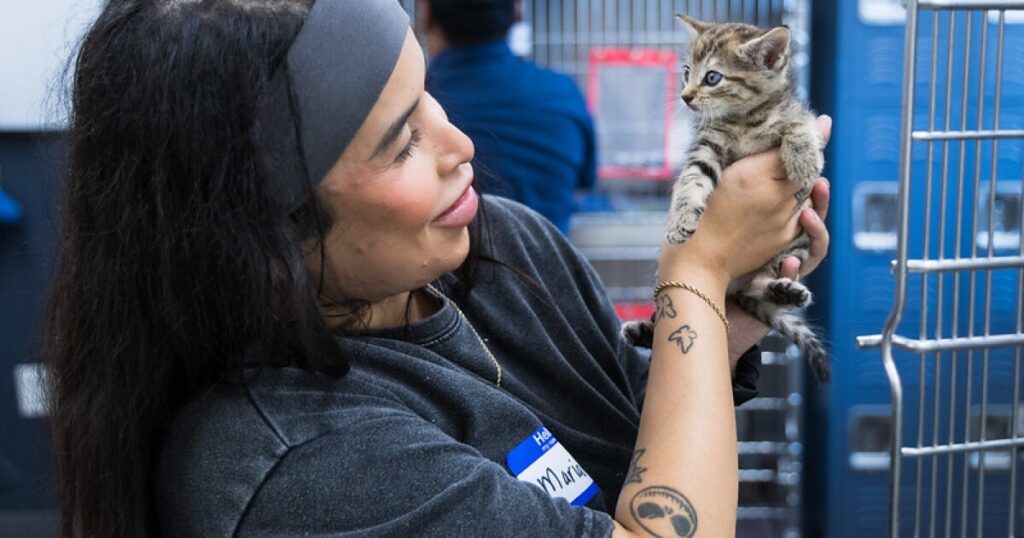 San Antonio’s ACS helps transport animals to create space for pets affected by Guadalupe River flood