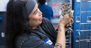 San Antonio’s ACS helps transport animals to create space for pets affected by Guadalupe River flood