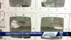 City of Albuquerque launches pet care membership for employees