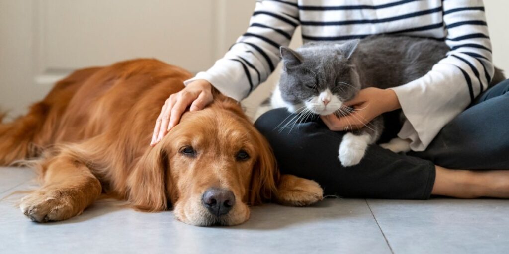 Safe, Non-toxic Care for Dogs