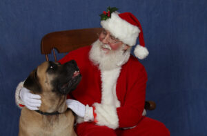 Yuhaaviatam, Humane Society of San Bernardino Valley Launch Winter Wonderland Pet Photos, Santa Paws to Support Animal Care