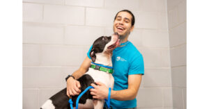Royal Canin Waives Adoption Fees at Animal Care Centers (ACC) of NYC for National Animal Shelter Appreciation Week