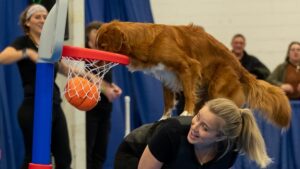 Super Pet Expo returns to Edison Jan. 9-11. Everything to know