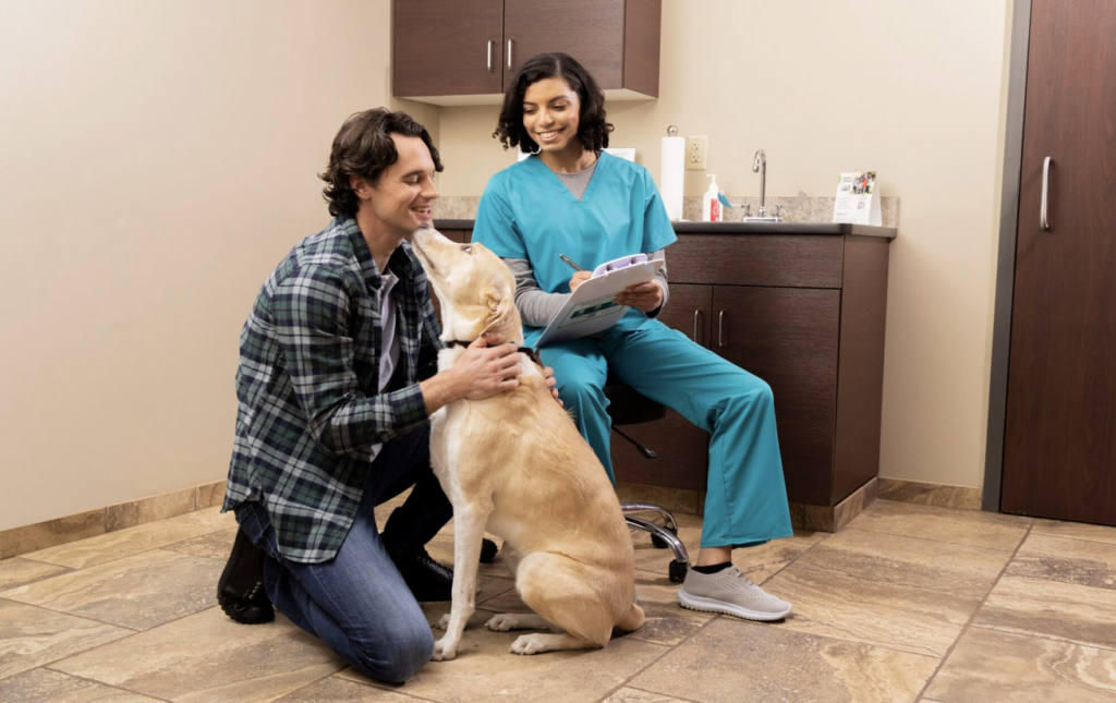 When Pets Need Care, Cost Shouldn’t Stand in the Way