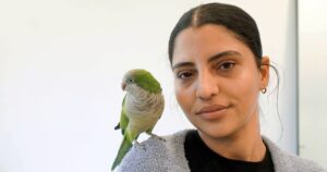 Pet debt is on the rise. It’s landing more people in court.