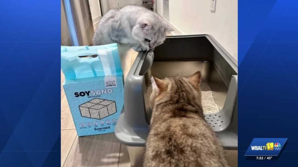 Expert shares the latest products in pet care in 2026 Expert shares the latest products in pet care in 2026