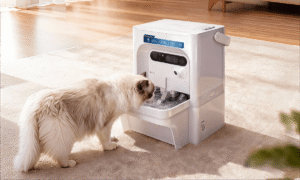 Revolutionizing Smart Pet Care at CES 2026