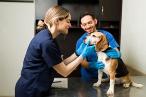 Clinic center: Paw Prosper acquires Canine Rehabilitation Institute, and other updates