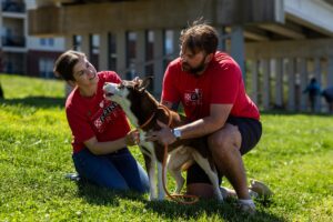 Purina Foundation awards over  million to nonprofits